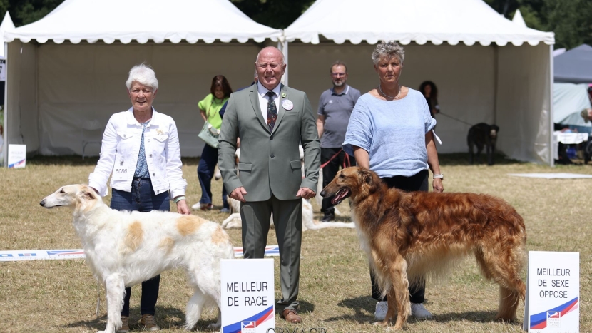 Championnats de France